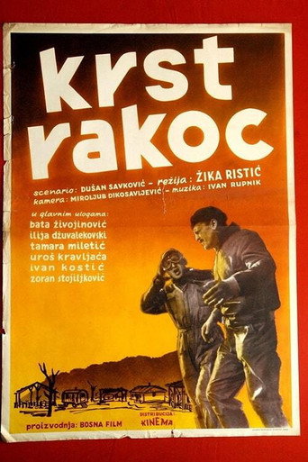 The Rakoc Cross movie poster