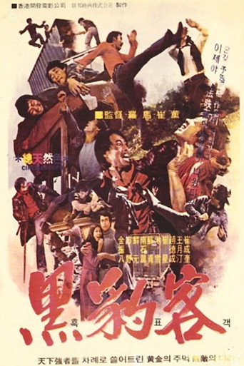 Black Guide movie poster