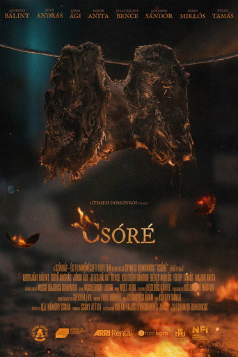 Csóré movie poster