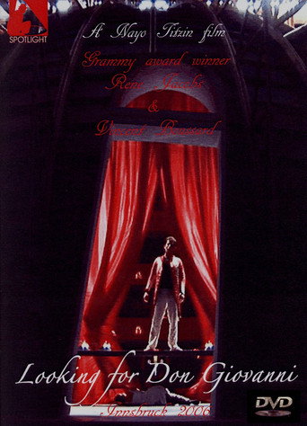 Looking for Don Giovanni movie poster