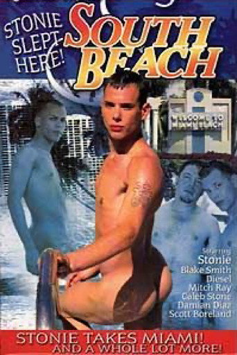 South Beach: Stonie Slept Here! movie poster