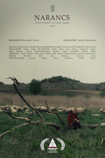 Orange movie poster