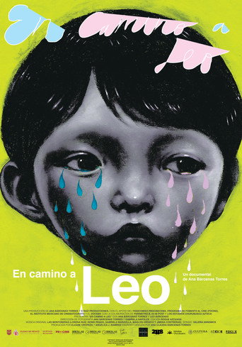 On The Path To Leo movie poster