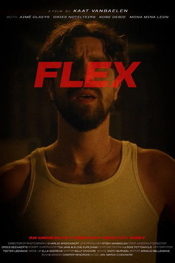 Flex movie poster