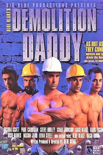 Demolition Daddy movie poster