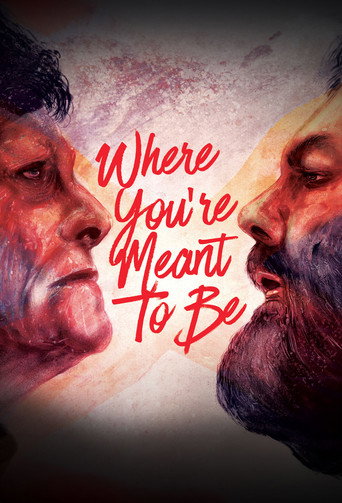 Where You're Meant to Be movie poster