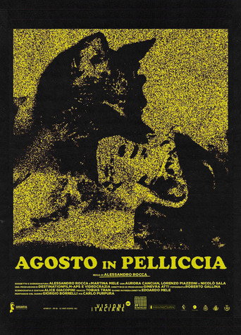 August in Fur movie poster