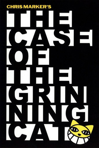 The Case of the Grinning Cat movie poster