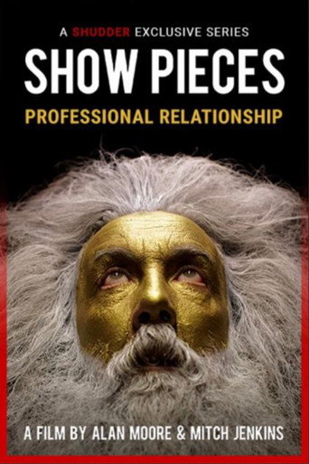 A Professional Relationship movie poster