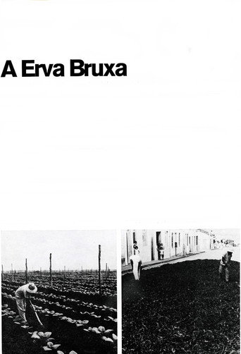 A Erva Bruxa movie poster