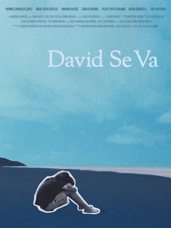 David Se Va movie poster