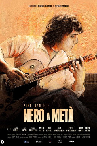 Pino Daniele - Nero a metà movie poster