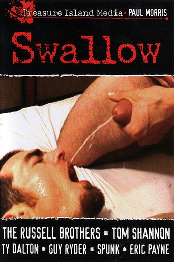 Swallow movie poster