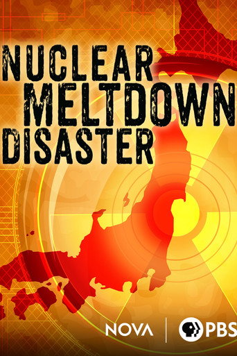 Nuclear Meltdown Disaster movie poster