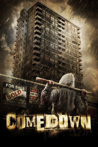 Comedown movie poster