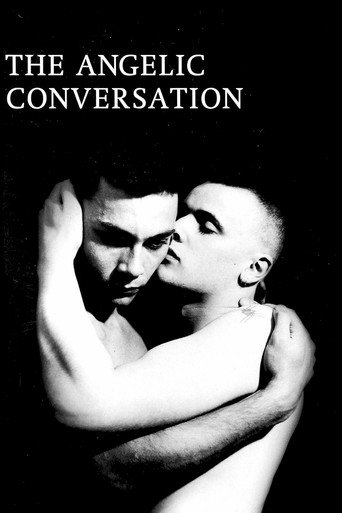 The Angelic Conversation movie poster