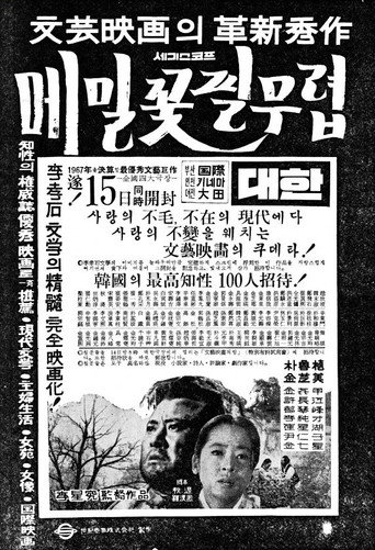 When the Buckwheat Blooms movie poster