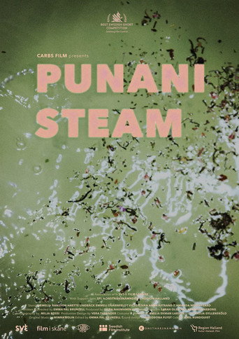 Punani Steam movie poster
