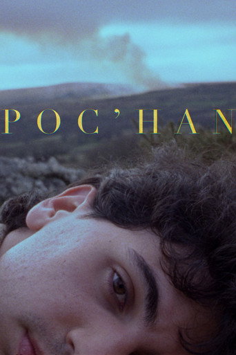 POC'HAN movie poster