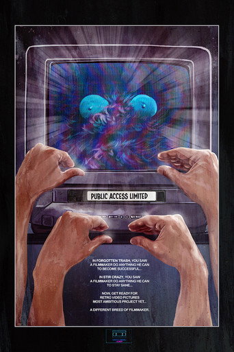 Public Access Limited movie poster