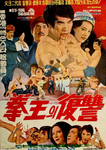 Blind Boxer movie poster