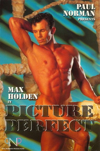 Picture Perfect movie poster
