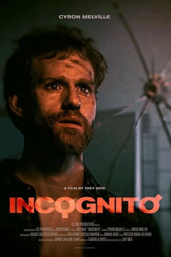 Incognito movie poster