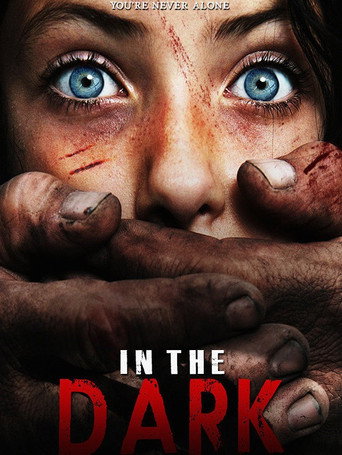In the Dark movie poster