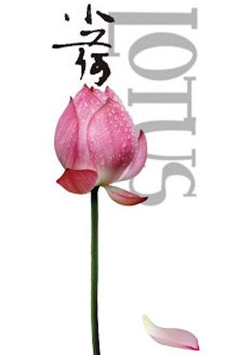 Lotus movie poster