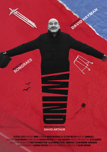 Wind movie poster