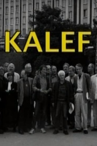 Kalef - A Moszkva téri galeri movie poster