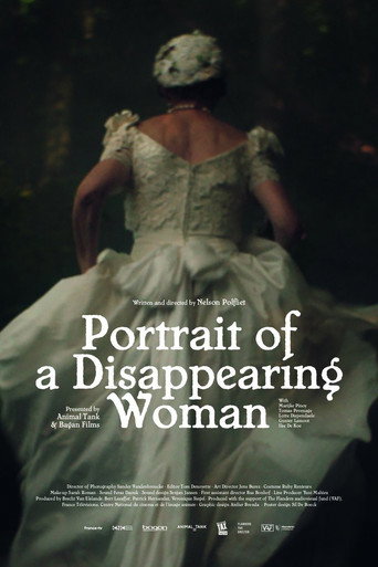 Portrait of a Disappearing Woman movie poster