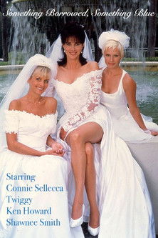 Something Borrowed, Something Blue movie poster