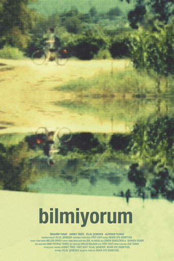 In Void movie poster