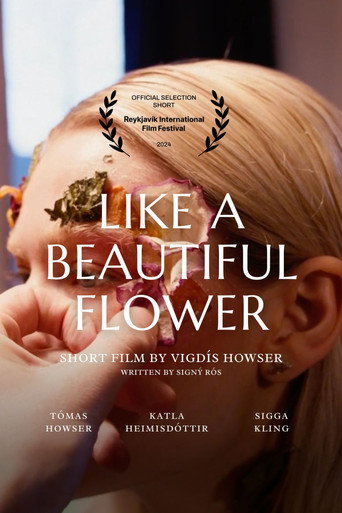 Like a beautiful flower movie poster