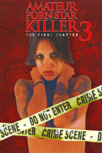Amateur Porn Star Killer 3: The Final Chapter movie poster