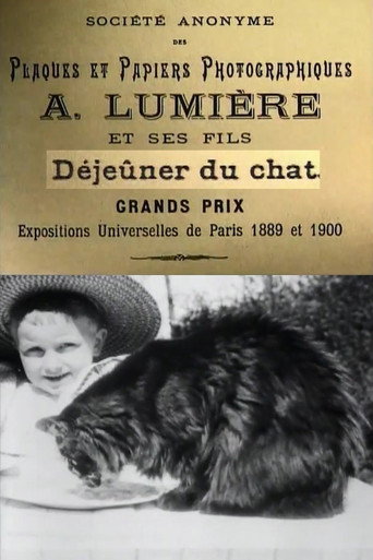 Déjeuner du Chat movie poster