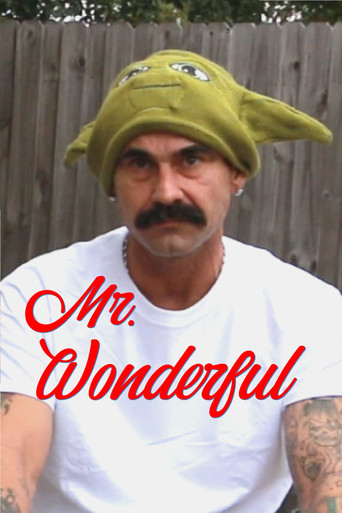 Mr. Wonderful movie poster