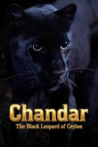 Chandar, the Black Leopard of Ceylon movie poster
