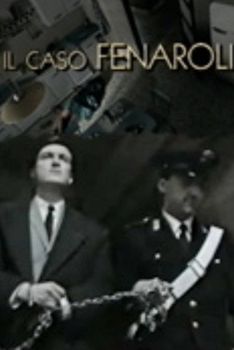 Il caso Fenaroli movie poster