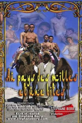 Au pays des mille et une bites movie poster