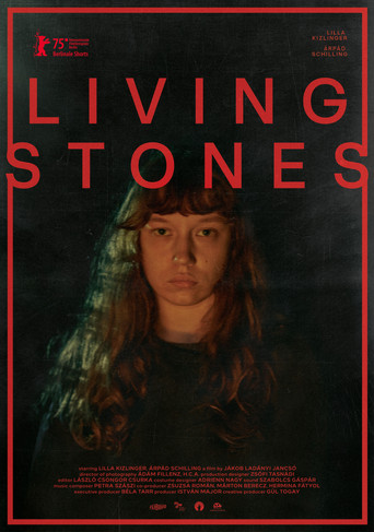 Living Stones movie poster