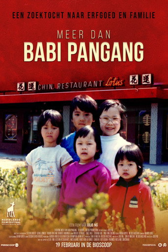 Meer dan babi pangang movie poster