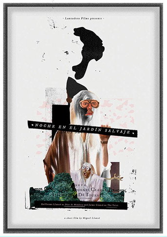 Night in the Wild Garden movie poster