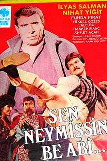 Sen Neymişsin Be Abi movie poster