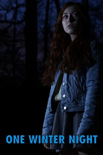 One Winter Night movie poster