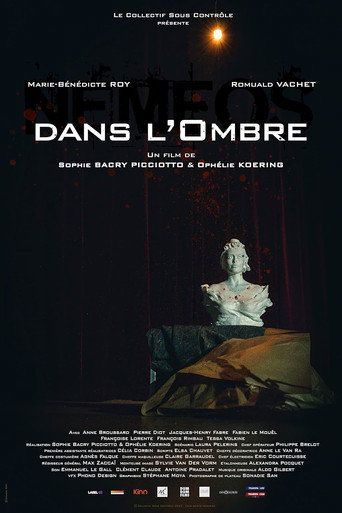 Dans L'Ombre (In the Shadow) movie poster