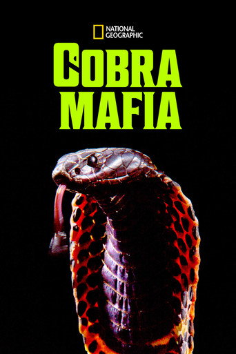 Cobra Mafia movie poster