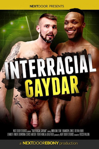 Interracial Gaydar movie poster