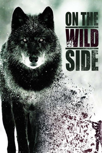 On The Wild Side movie poster